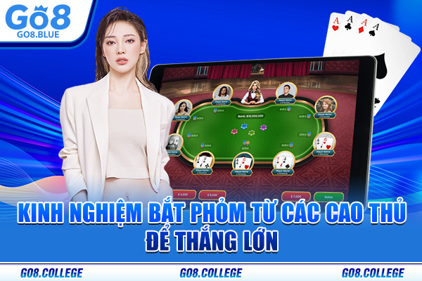 Kinh nghiệm bắt Phỏm từ các cao thủ để thắng lớn